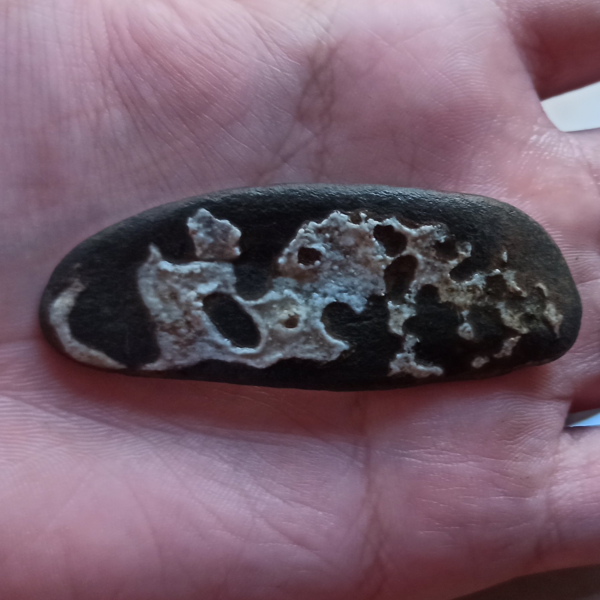 سنگ مصور حلزون و جمجمه زیبا