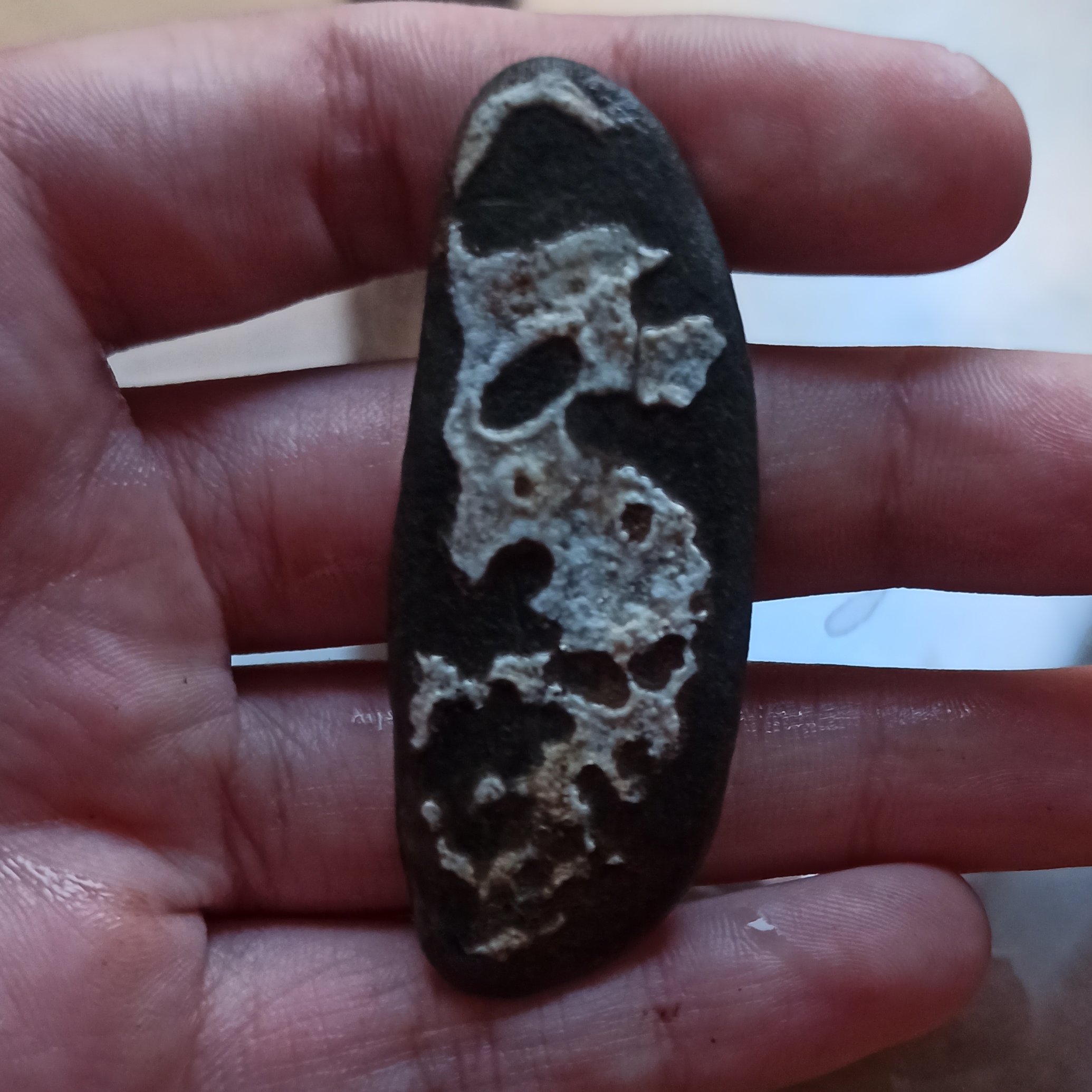 سنگ مصور حلزون و جمجمه زیبا