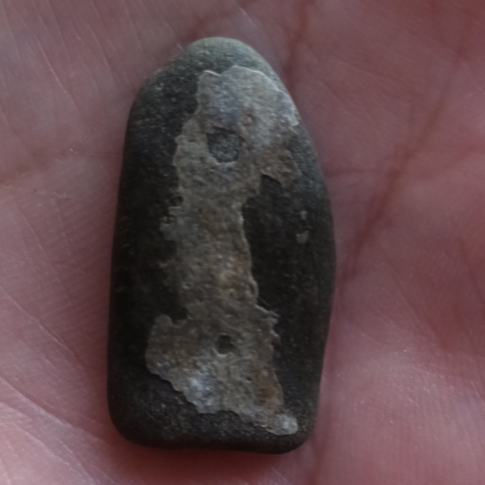 سنگ مصور پرنده و جوجه زیبا