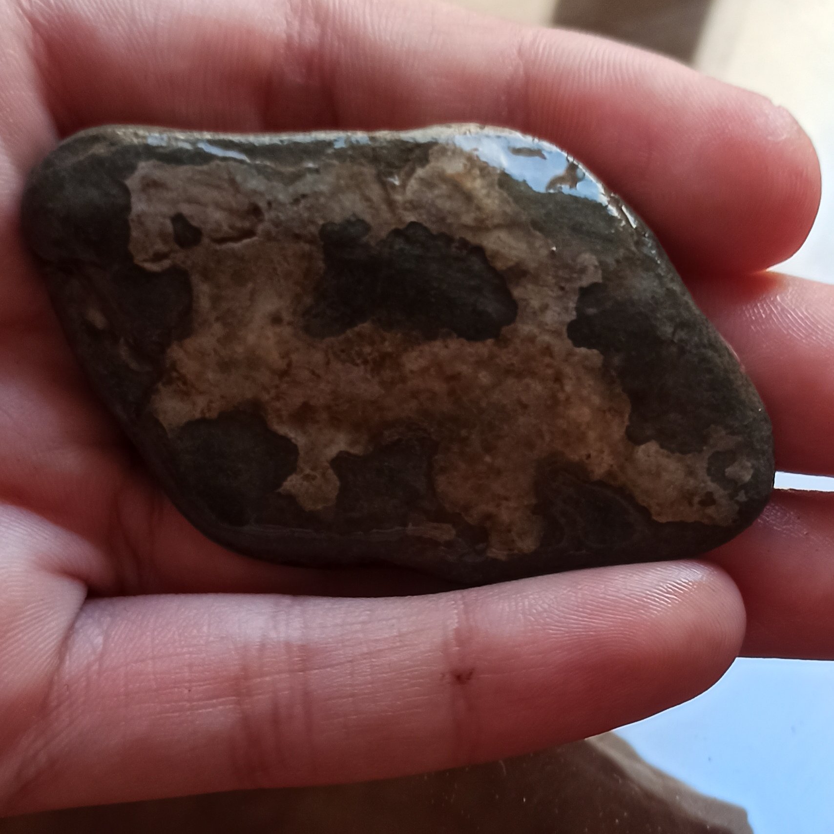 سنگ مصور مرغ و اژدها. استثنایی فوق العاده زیبا