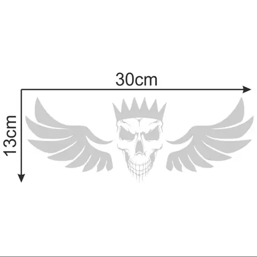 برچسب بدنه خودرو اکسان استور طرح بال اسکلتی کد M02