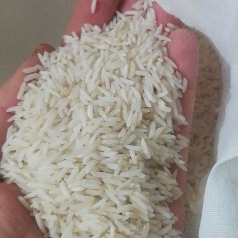 برنج طارم هاشمی قیمت مناسب(بسیار خوشپخت)