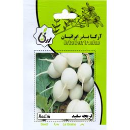 تربچه سفید ارکا بذر ایرانیان