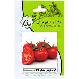 گوجه فرنگی بوته ایF1 ارکا بذر ایرانیان