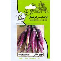 هویج بنفش ارکا بذر ایرانیان