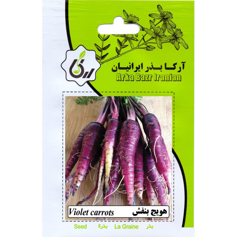هویج بنفش ارکا بذر ایرانیان