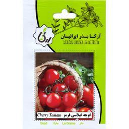 گوجه گیلاسی قرمز ارکا بذر ایرانیان