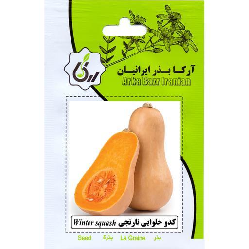 کدو حلوایی نارنجی ارکا بذر ایرانیان