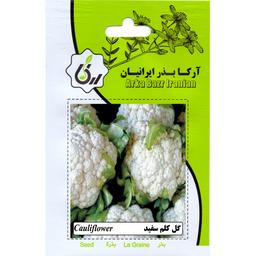 گل کلم سفید ارکا بذر ایرانیان