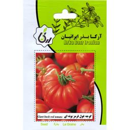 گوجه غول قرمز بوته ای ارکا بذر ایرانیان