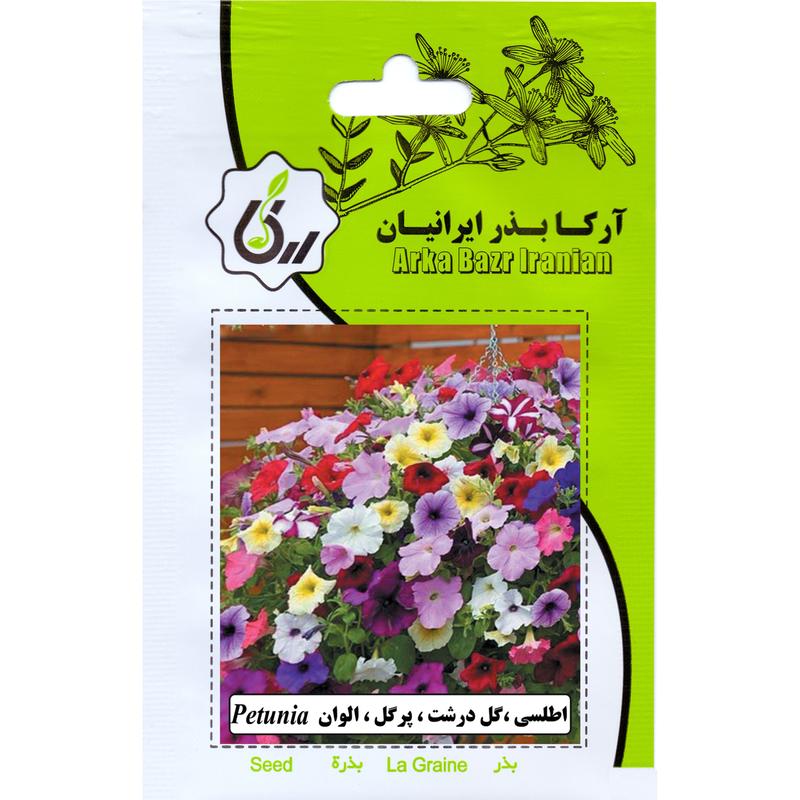 اطلسی گل درشت پر گل الوان ارکا بذر ایرانیان
