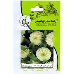 اهار پا متوسط پرپر گل درشت سفید ارکا بذر ایرانیان