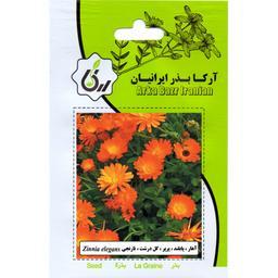اهار پابلند پرپر گل درشت نارنجی ارکا بذر ایرانیان
