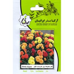 اهار پا متوسط پرپر گل درشت الوان ارکا بذر ایرانیان
