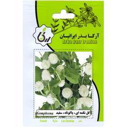 گل تکمه ای پا کوتاه سفید ارکا بذر ایرانیان