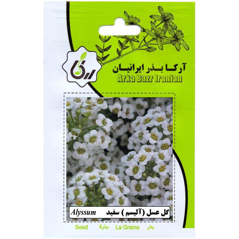 گل عسل سفید ارکا بذر ایرانیان