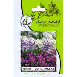گل عسل الوان ارکا بذر ایرانیان