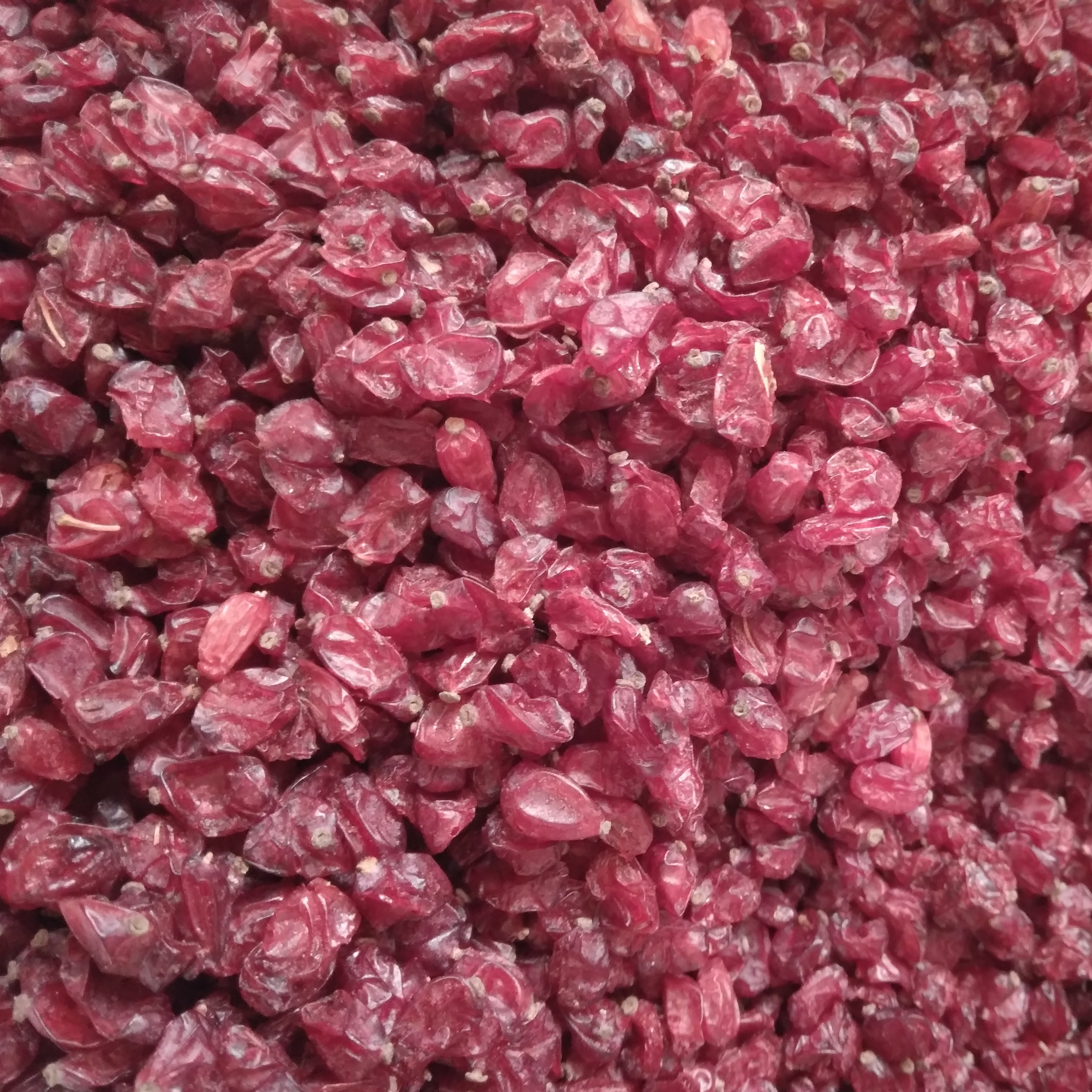 زرشک دانه اناری (500گرمی )،امساله