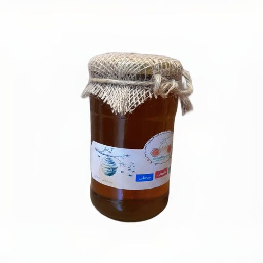 عسل چهل گیاه ارگانیک شهر طبیعت 900 گرم