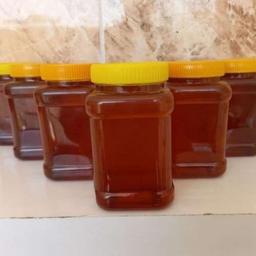 عسل ارگانیک طبیعی (1 کیلویی) کیفیت اعلاء محصول دامنه های ارتفاعات شمال خراسان