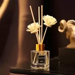 خوشبوکننده هوای محیط scent