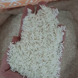 برنج  هاشمی معطر 5 کیلویی (ارسال رایگان) 