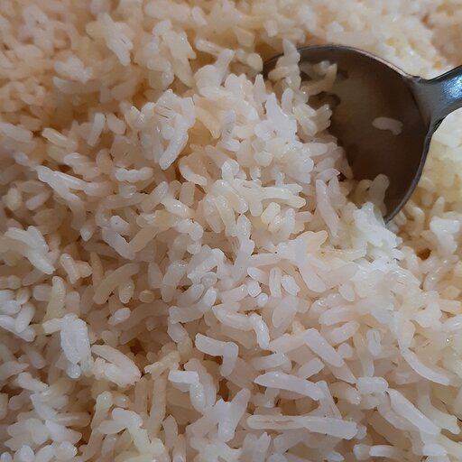برنج سرلاشه هاشمی آستانه اشرفیه 10 کیلویی ارسال رایگان 