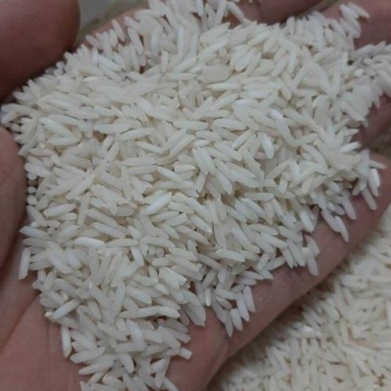 برنج سالم هاشمی