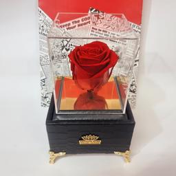 گل رز جاودان قرمز همراه باکس موزیکال