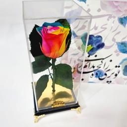 گل رز جاودان هفترنگ همراه باکس پایه مبلی مشکی