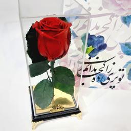 گل رز جاودان قرمز همراه باکس پایه مبلی مشکی