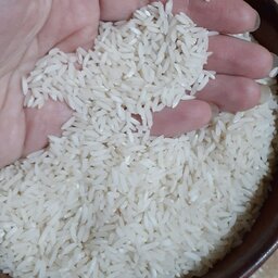 برنج طارم هاشمی بوجار شده