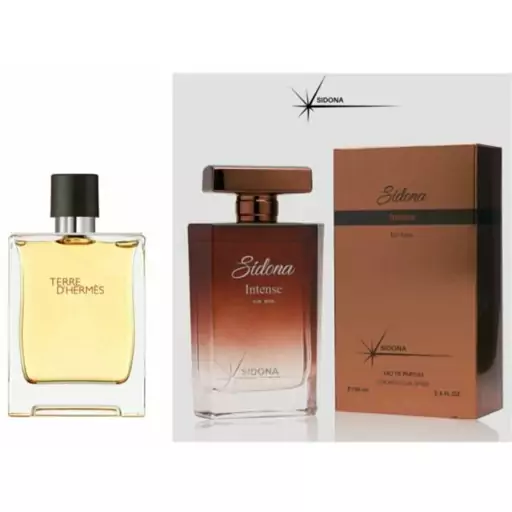 عطر ادکلن اینتنس آقایان رایحه تق هرمس مهزیار 100 میل سیدونا