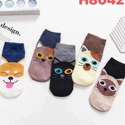 🧦مچی کارتونی

وارداتی واورجینال

💰 با احترام  30.000 تومان 

🚚 هزینه ارسال به عهده شما مشتری عزیز 
