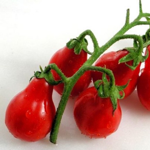 بذر گوجه فرنگی گلابی قرمز بسته 10 عددی