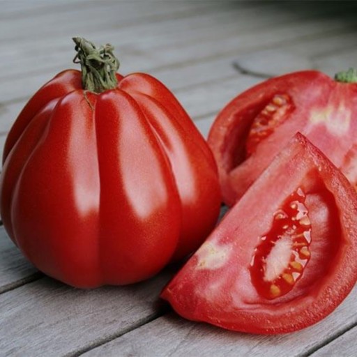 بذر گوجه فرنگی قرمز دندانه دار Gezahnte بسته 10 عددی