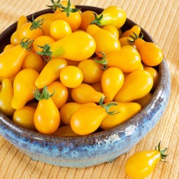 بذر گوجه فرنگی گلابی خوشه ای زرد بسته 10 عددی