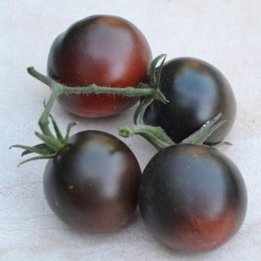 بذر گوجه فرنگی شکلاتی شاه بلوط آمریکایی بسته 10 عددی