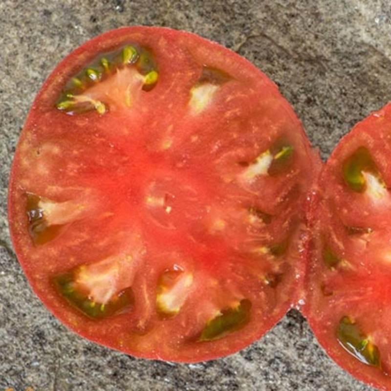 بذر گوجه فرنگی ارغوانی کربن آمریکایی بسته 10 عددی