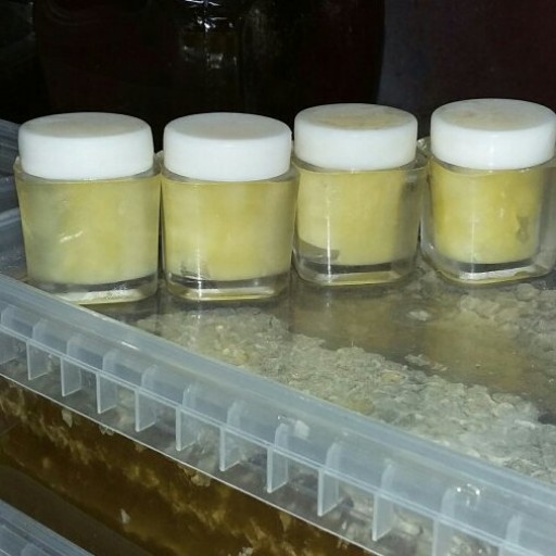 ژل رویال اصل 30 گرمی مخلوط با 150 گرم عسل طبیعی اکسیر سبلان