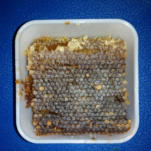 عسل طبیعی مومدار چندگیاه کوهی اکسیر سبلان (مستقیم از زنبوردار)
