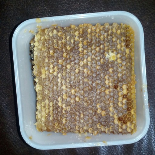 عسل طبیعی مومدار سبلان عسل اکسیر سبلان