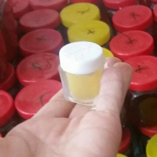 ژل رویال اصل 20 گرمی مخلوط با 100 گرم عسل طبیعی اکسیر سبلان