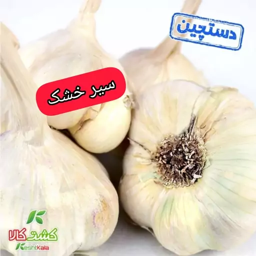 سیر خشک فله