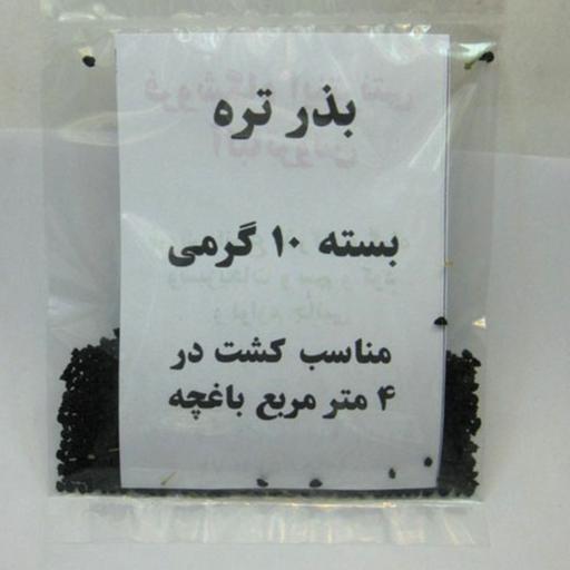 بذر سبزی تره