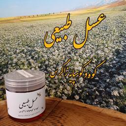 عسل طبیعی دیابتی چهل گیاه گشنیز نهاوند صد در صد طبیعی 350 گرمی با ساکارز 1.5  ناروین Narwin