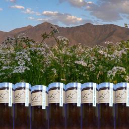 عسل طبیعی چهل گیاه کوهپایه زاگرس 350گ با ساکارز  استاندارد 