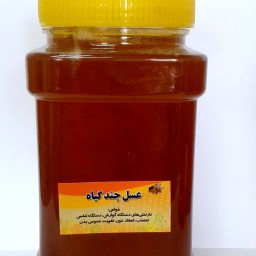 عسل چند گیاه آویشن