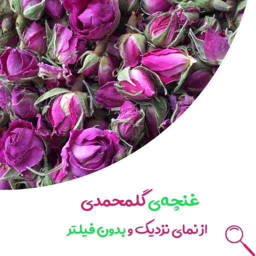 غنچه گل محمدی لاله زار ممتاز  75 گرمی در جار شیشه ای