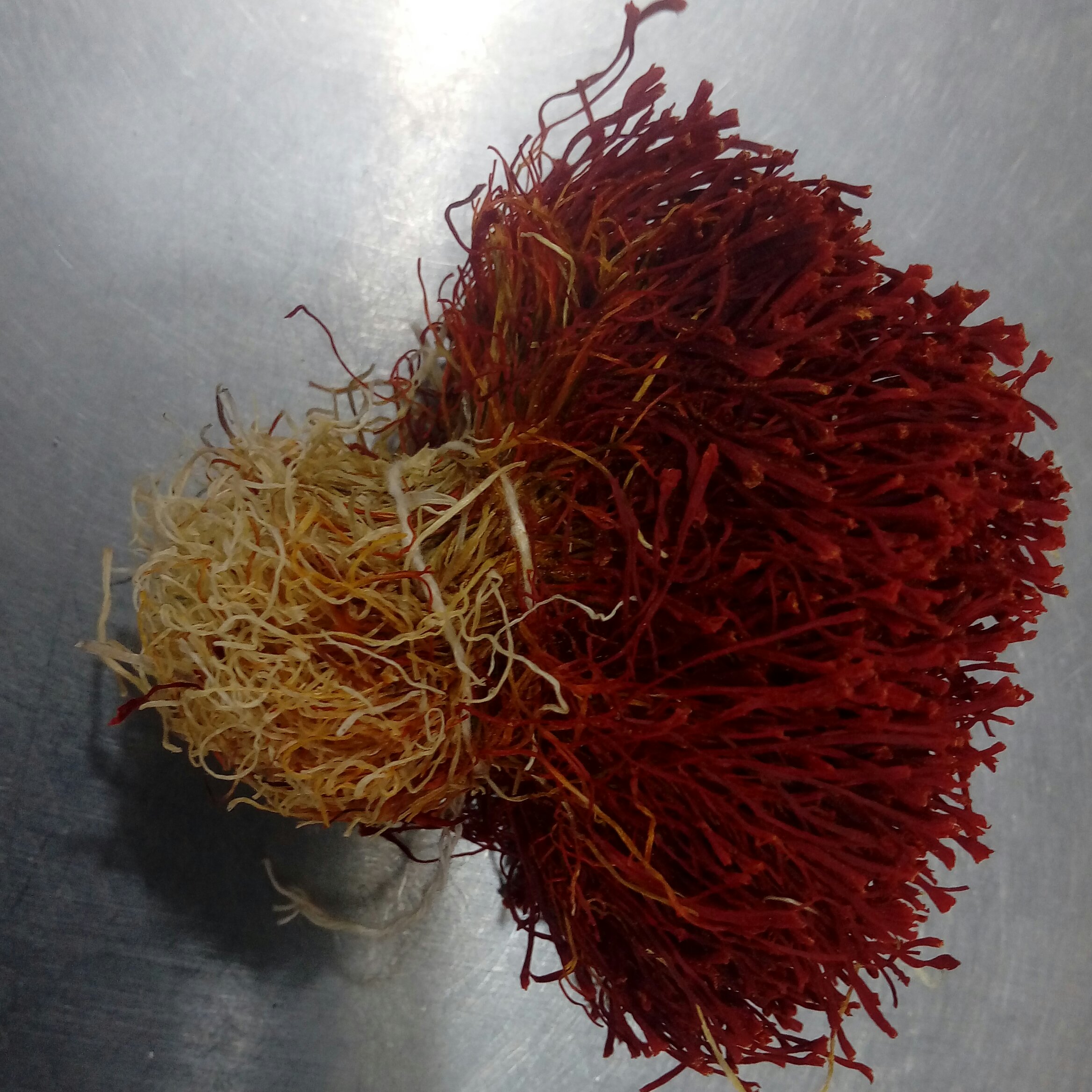 زعفران دسته( یک مثقالی)